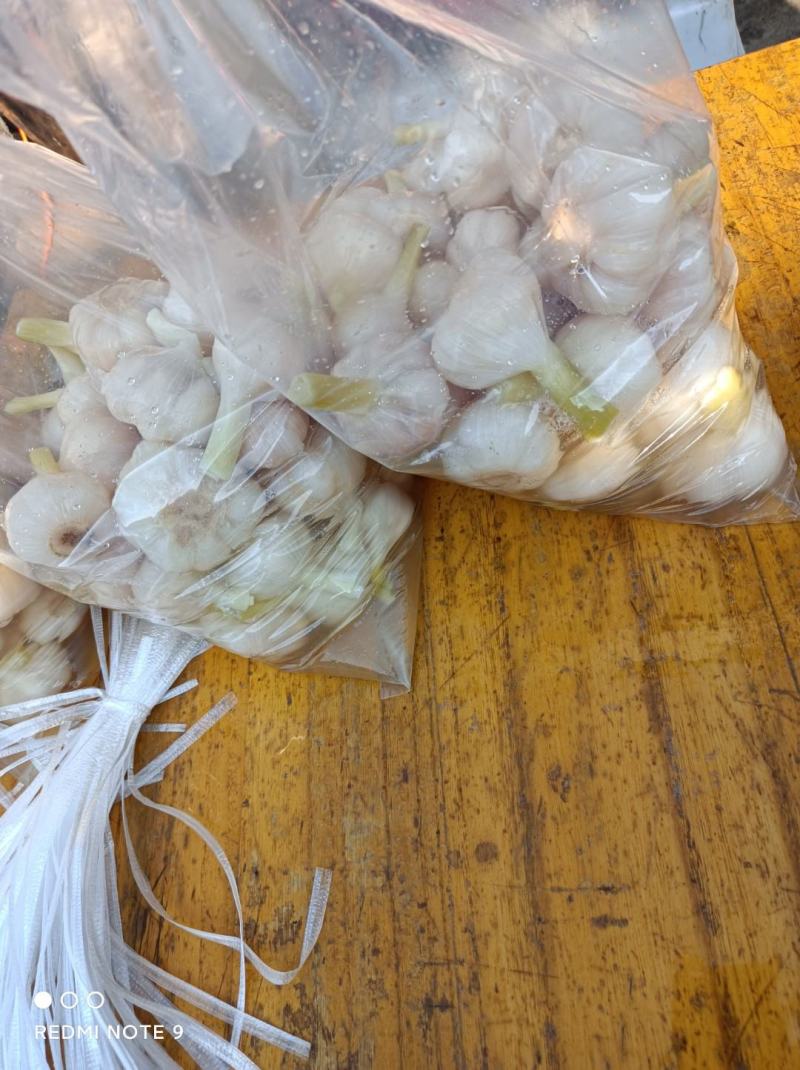 酱腌菜