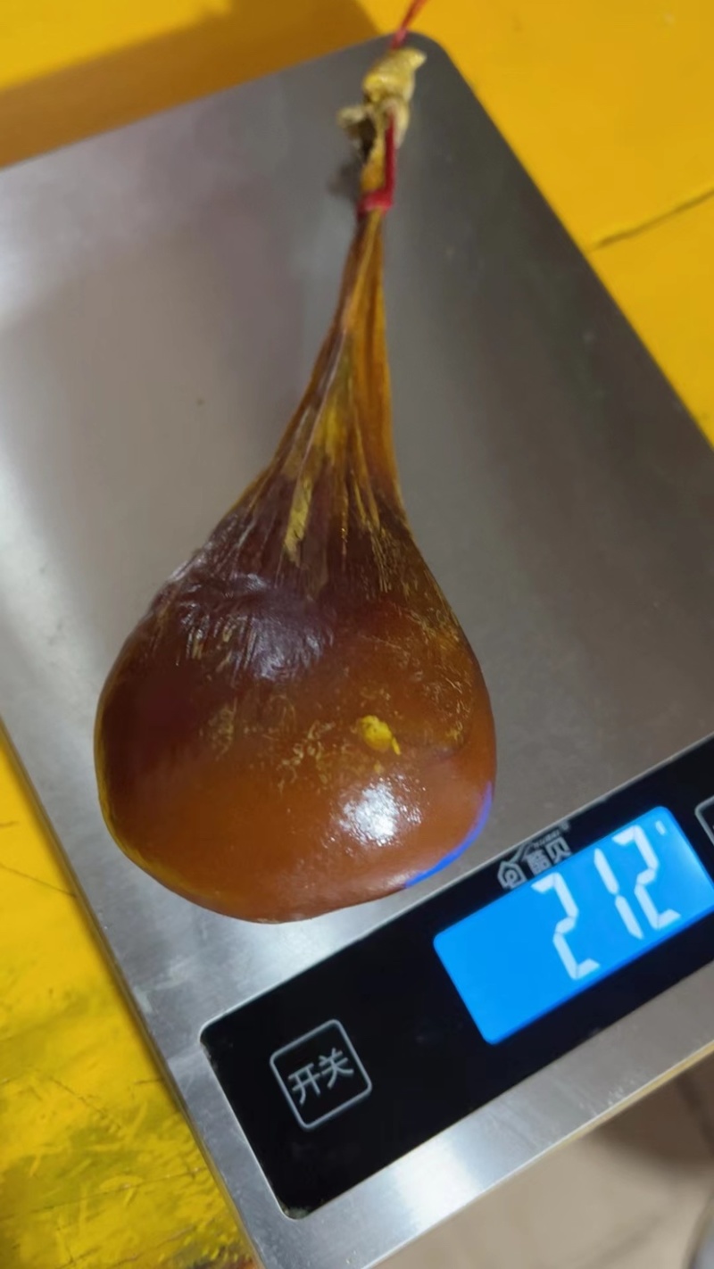 天然牛黄
