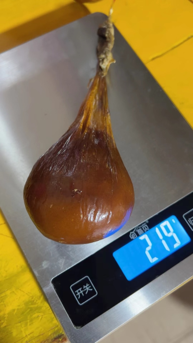 天然牛黄
