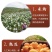 云霄特产枇杷膏，古法熬制，新鲜果肉加冰糖熬制，不添加任何