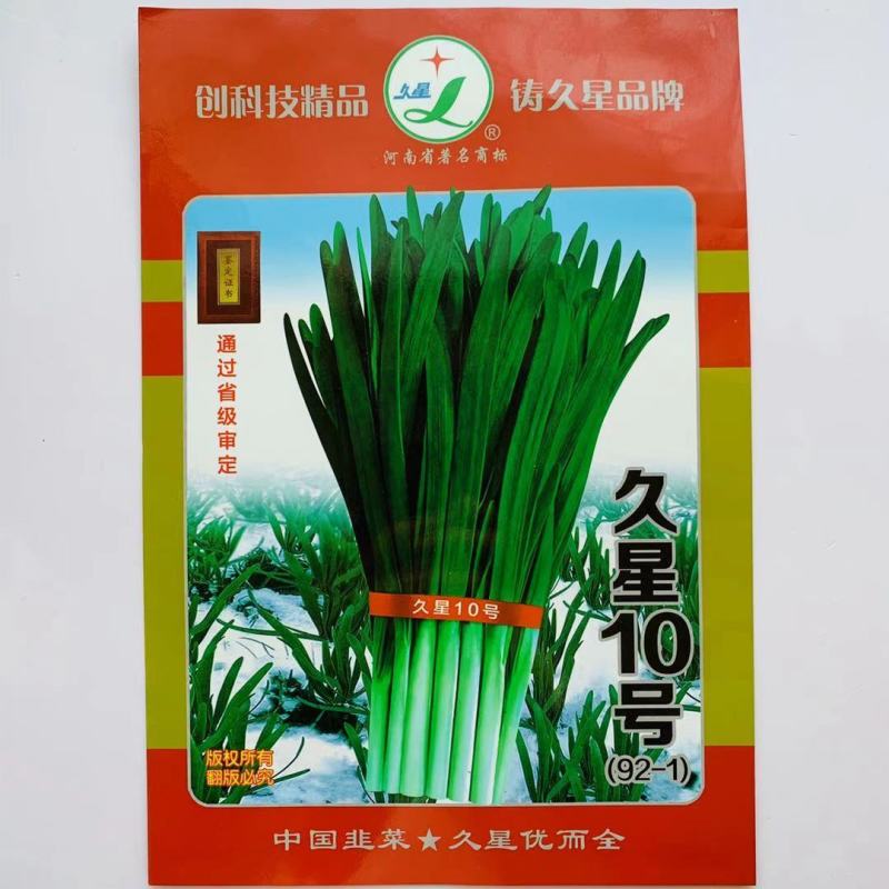久星10号韭菜种子抗寒不休眠韭菜种子优质高产叶片宽大肥厚