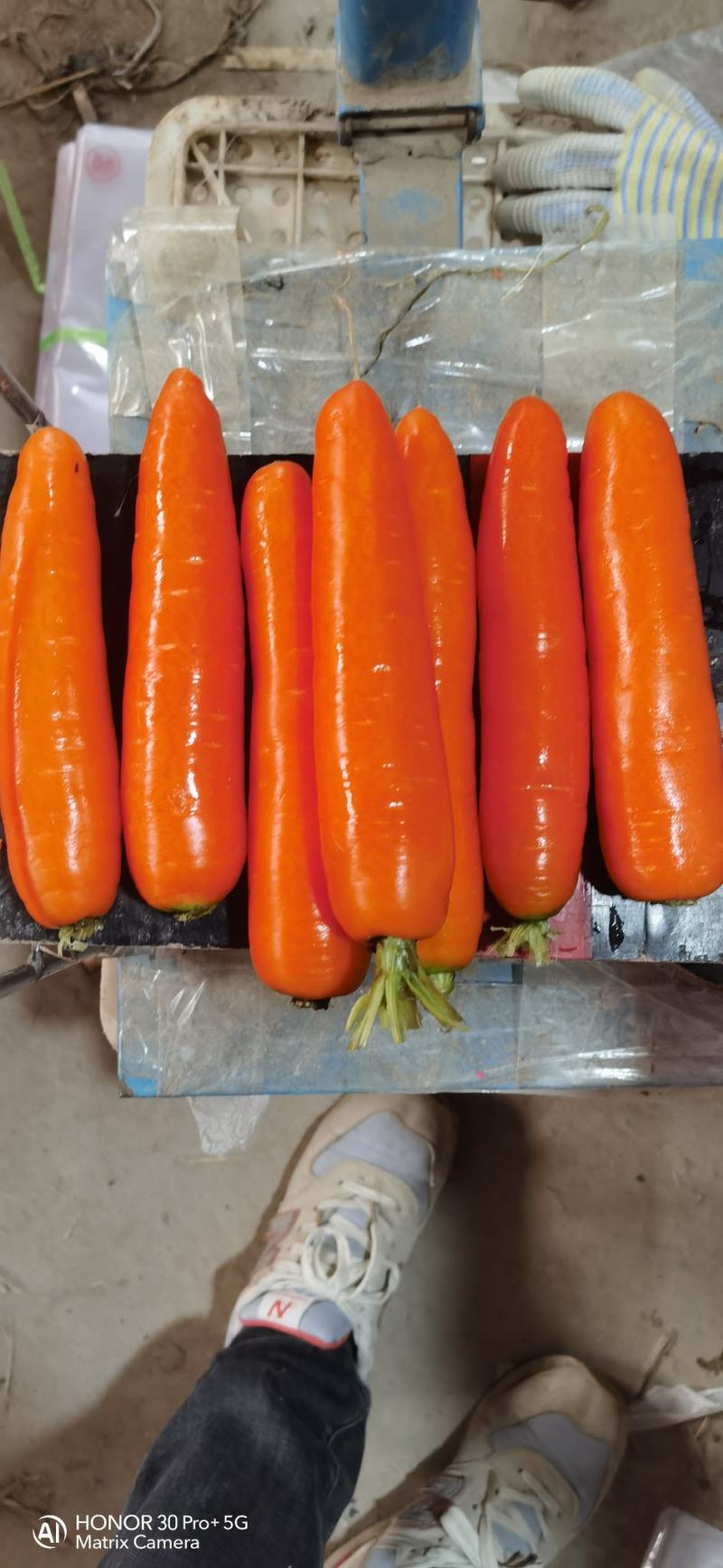 大量供应精品中条，小条，次品支持各种包装。