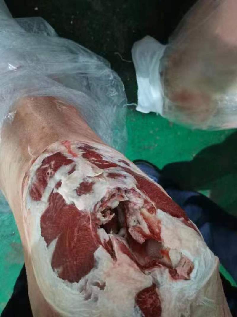 带皮绵羊