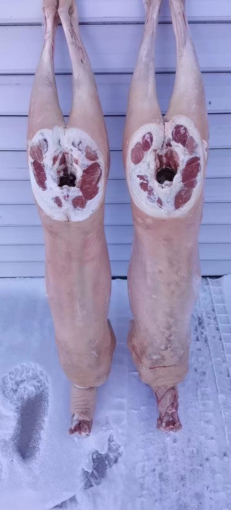 带皮绵羊