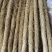 陕西铁棍山药品质保证诚信经营欢迎联系接商超市场电商