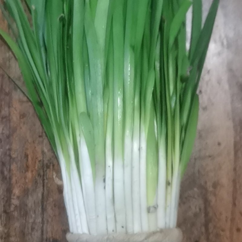 太白韭菜供应链