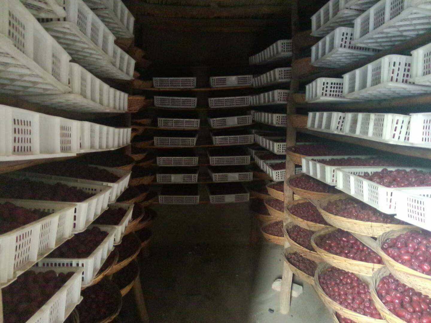 枣壳制品展示台