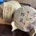 800邦崴古树茶200克小饼