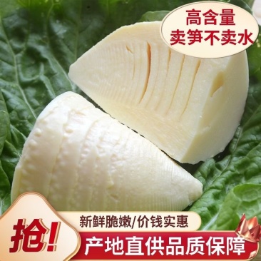 竹笋新鲜冬笋春笋手拔笋野生笋江西特产袋装清水笋尖竹笋批发