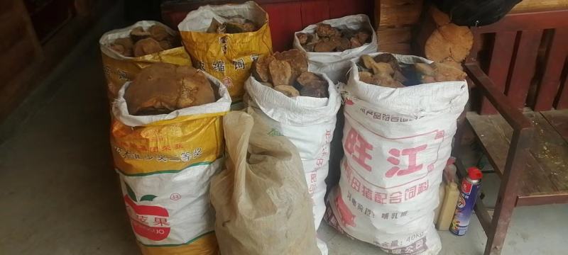 有喜欢的没？