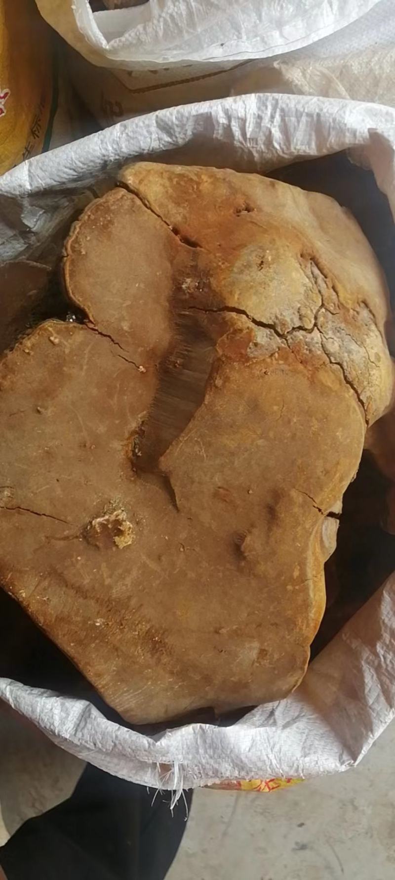 有喜欢的没？