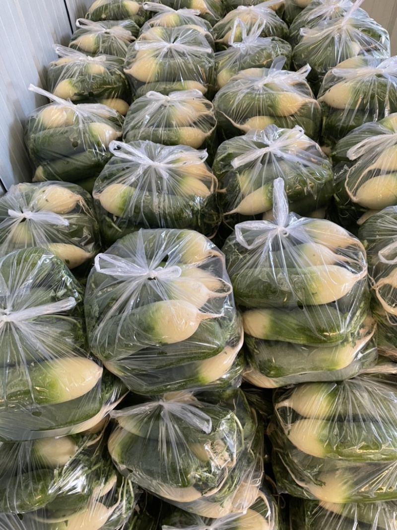 需要的朋友可以联系一下