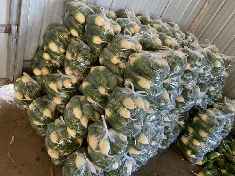 需要的朋友可以联系一下