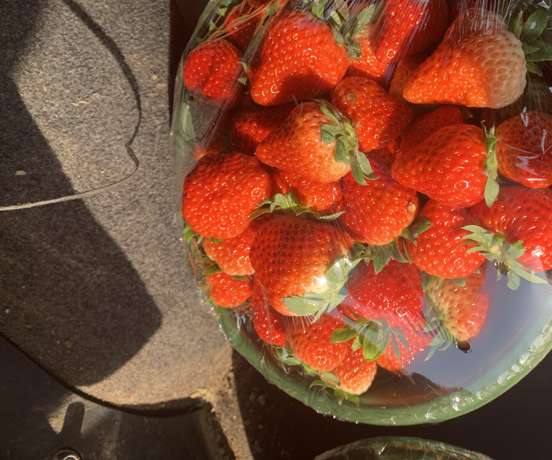 红颜草莓产地直销