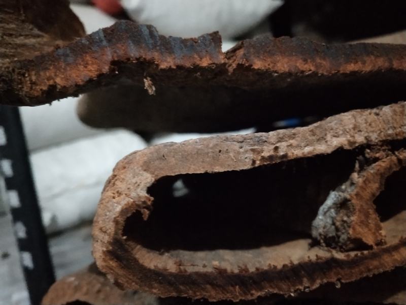 【岭南油桂】沉水桂红水桂白水桂油分足老油桂中药材