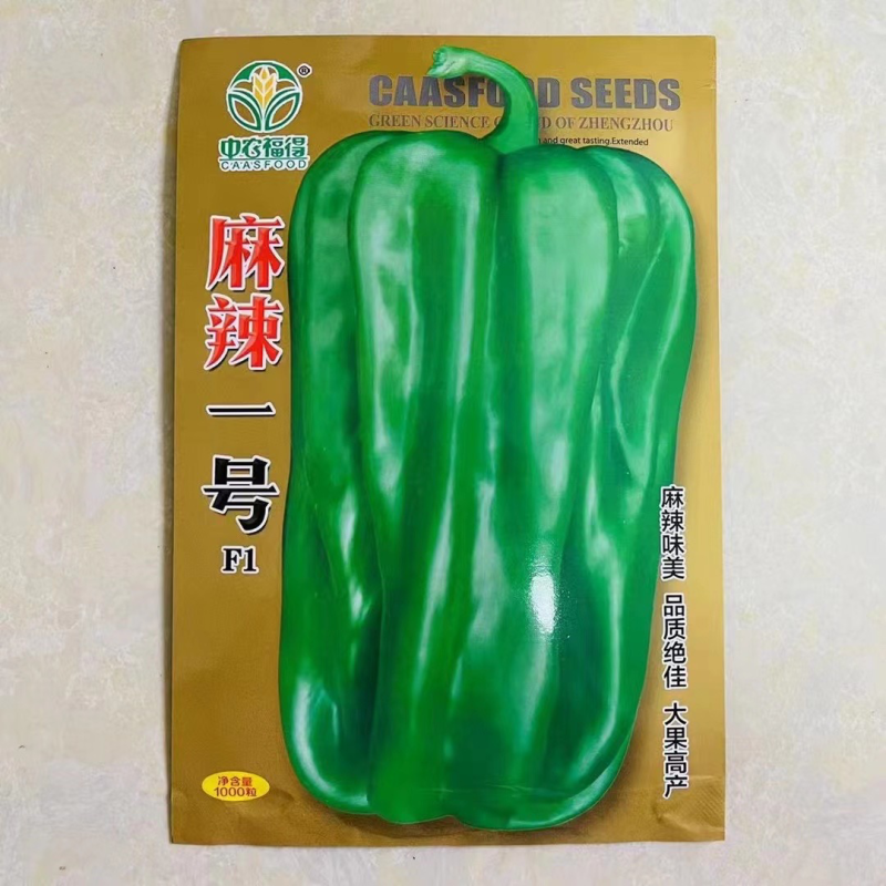 中农福得麻椒一号辣椒种子早熟大果皱皮杂交一代品种种子