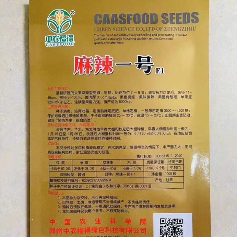 中农福得麻椒一号辣椒种子早熟大果皱皮杂交一代品种种子