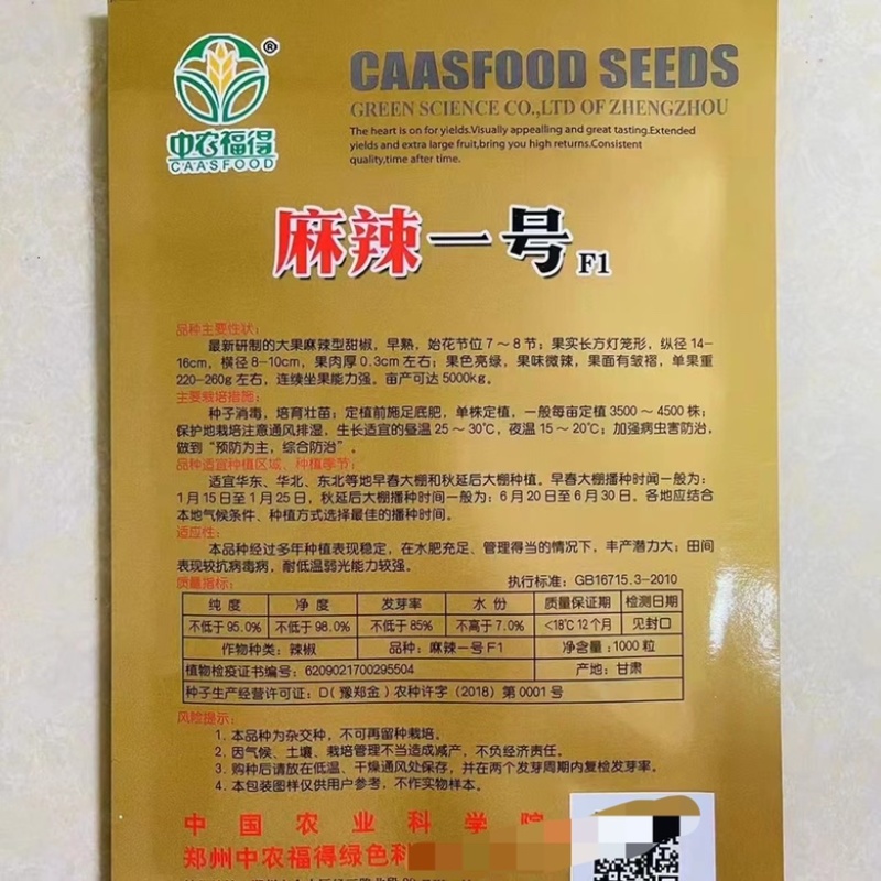 中农福得麻椒一号辣椒种子早熟大果皱皮杂交一代品种种子
