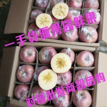 冰糖心苹果全国发货临漪产地货源山西坡上红富士苹果