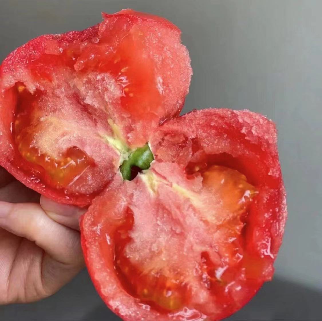 一颗新鲜的普罗旺斯西红柿,表面光滑,颜色鲜红,切开后露出内部果肉与少量种子 普罗旺斯西红柿特写