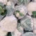 【精品菜花】河北邯郸菜花保质保量基地直供欢迎合作