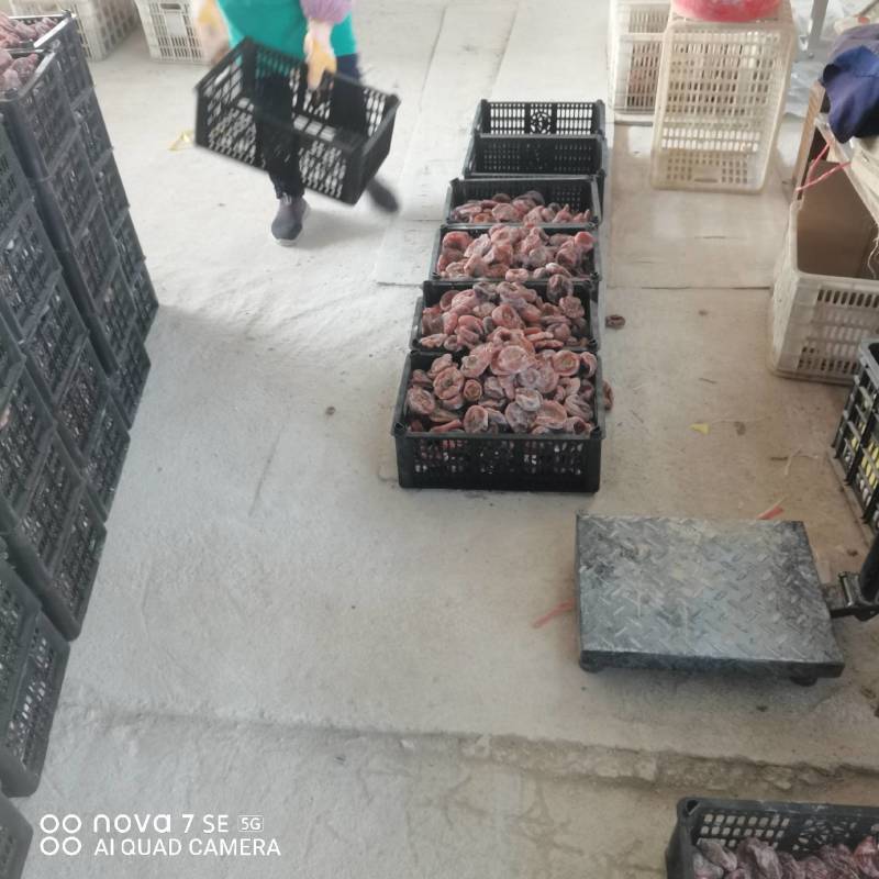 大量供应广西桂林市恭城瑶族自治县高次柿饼