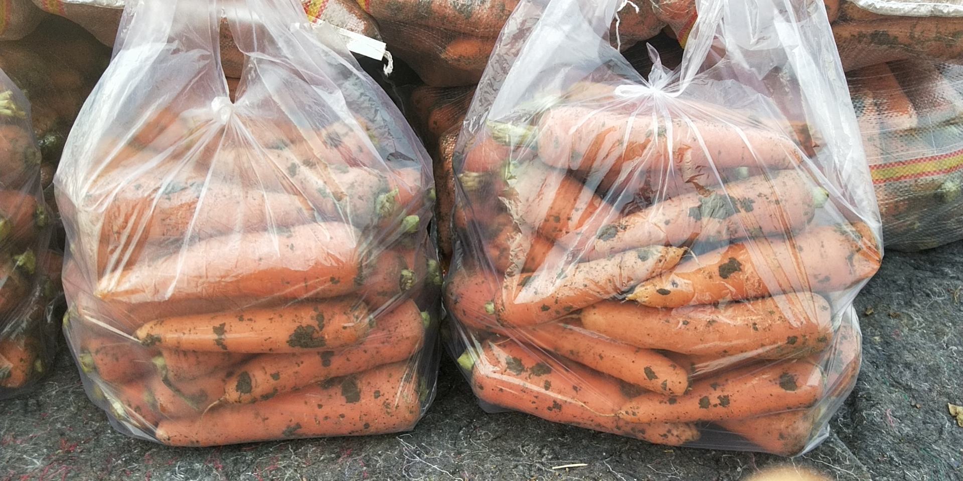 胡萝卜土豆丝成品图