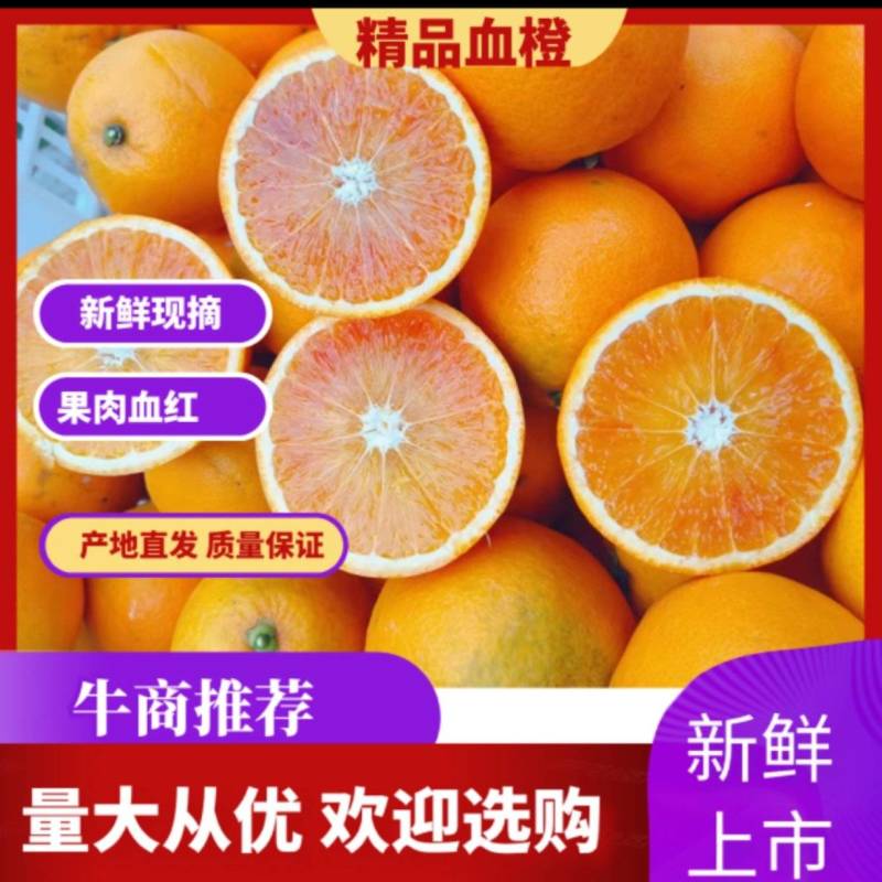 塔罗科血橙重庆玫瑰血橙有机肥种植营养更全面现摘现发