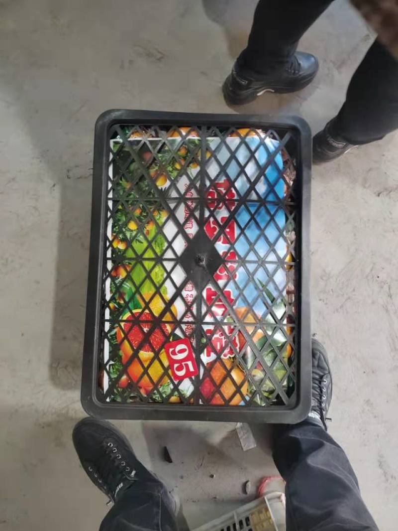 塔罗科血橙重庆玫瑰血橙有机肥种植营养更全面现摘现发