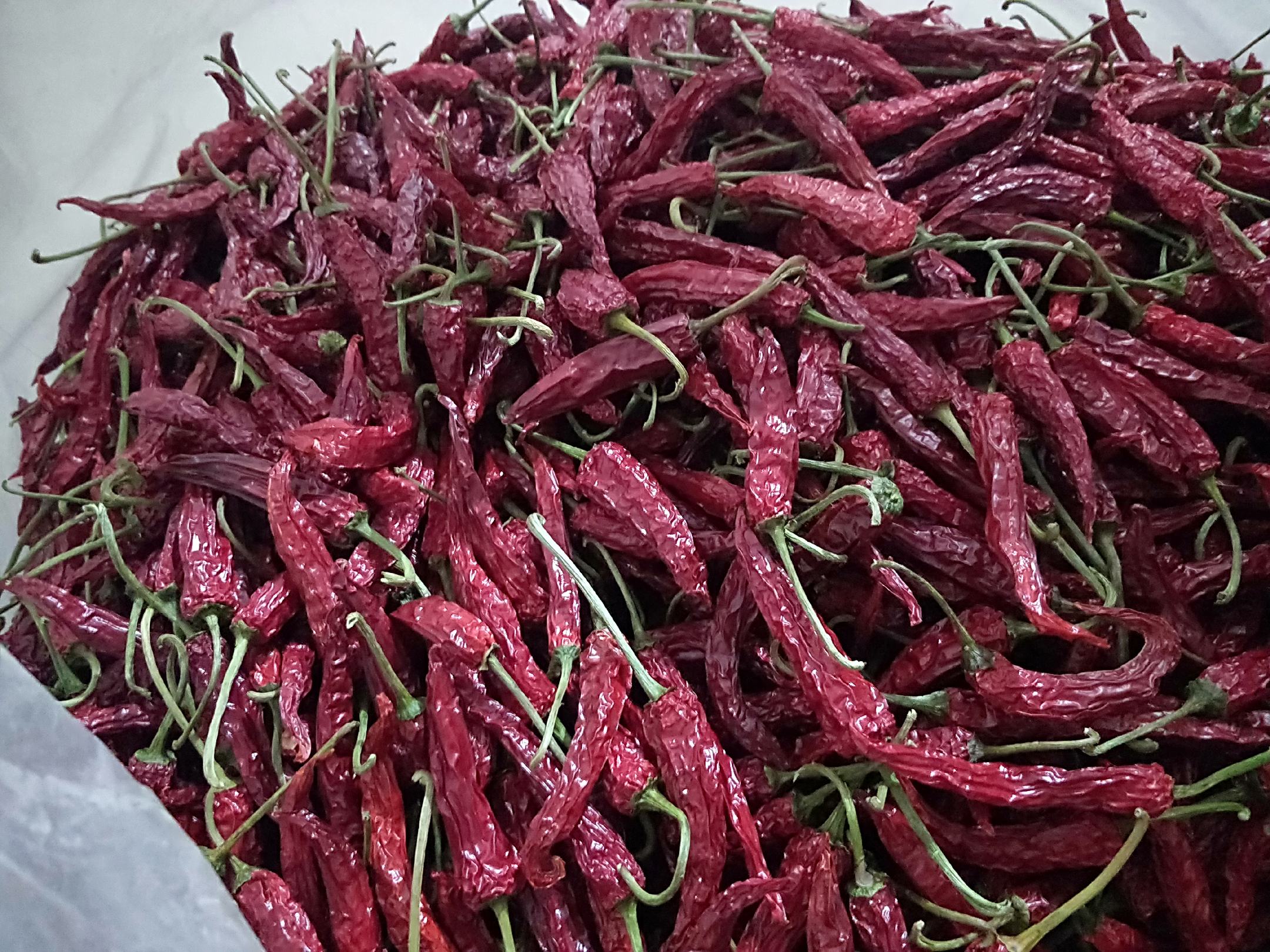 干辣椒与肉类、蔬菜一同在锅中翻炒,呈现丰富的色彩和香气 干辣椒与其他食材混合炒制的画面