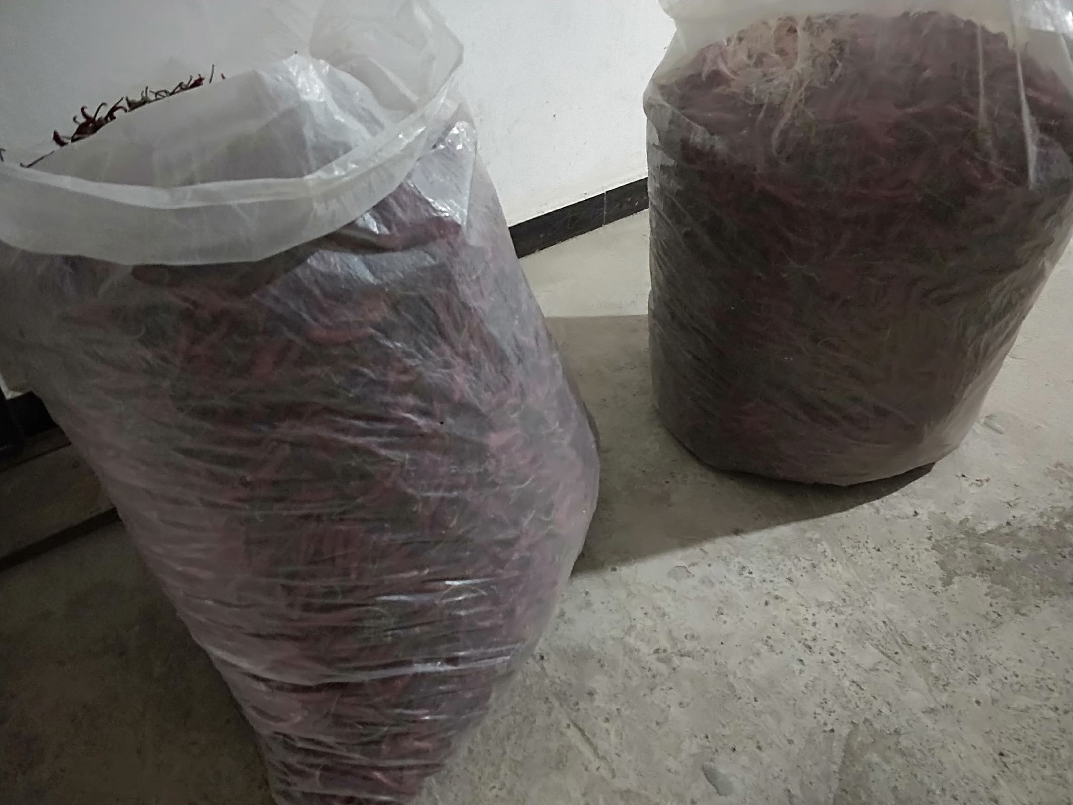 干辣椒仓储环境管理