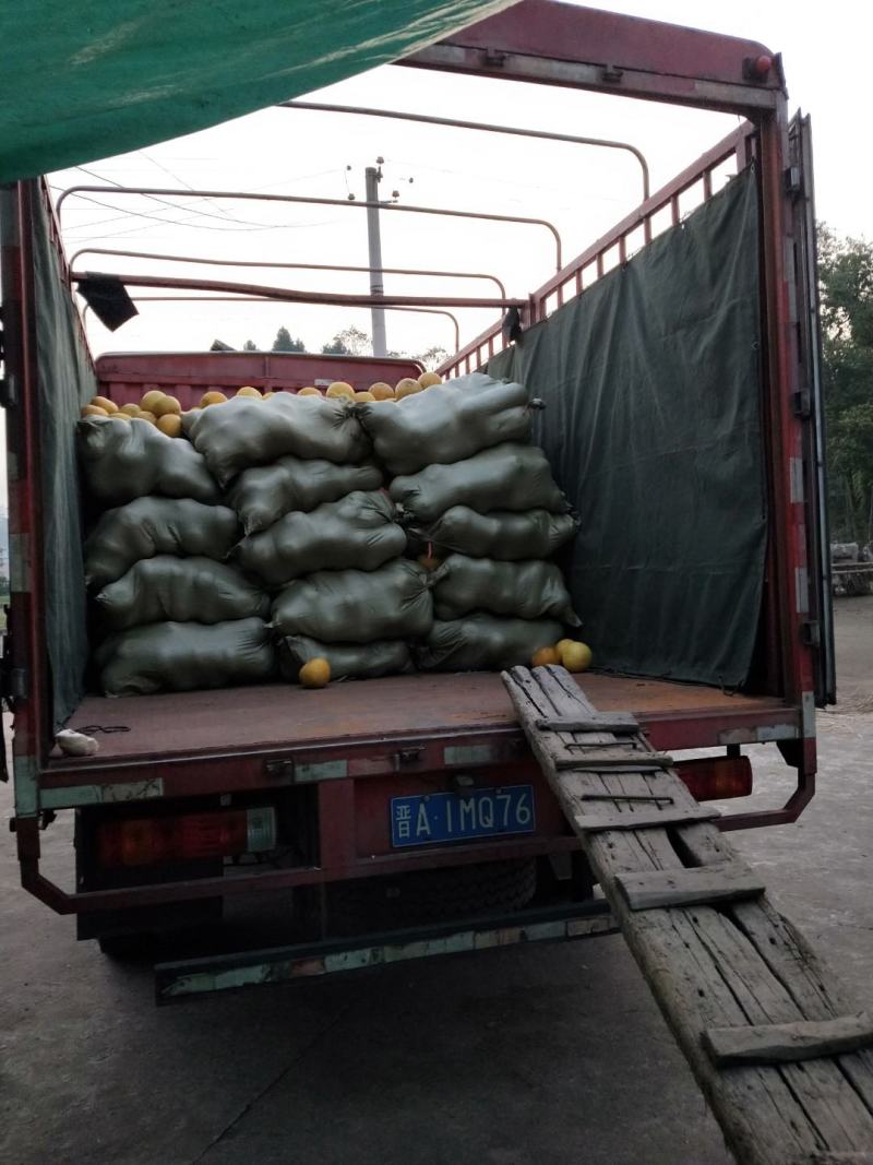 梁平柚产地直销价格美丽