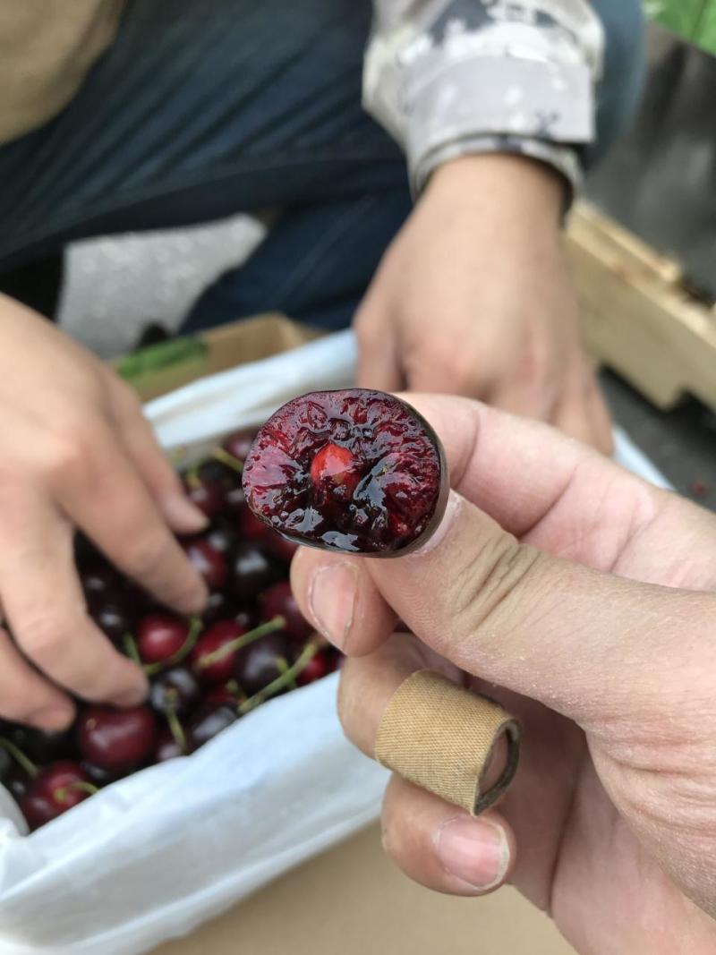 新西兰进口车厘子广州江南直发整件批发新鲜到港