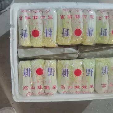 （实力）精品小包耕野高山娃娃菜，大量供应，可代加工