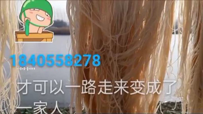阜阳农家纯红薯粉丝，零添加无污染，欢迎下单