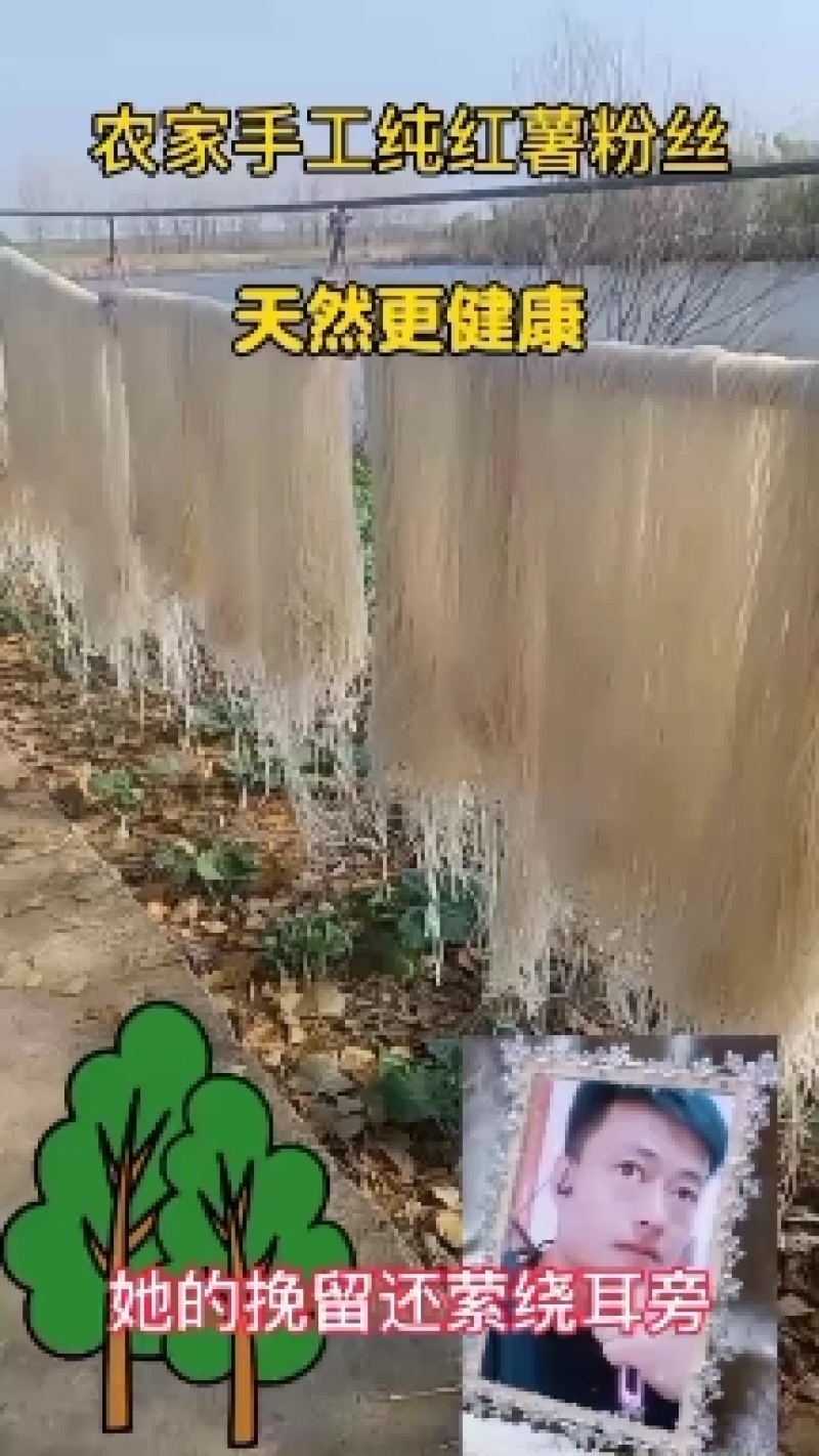 阜阳农家纯红薯粉丝，零添加无污染，欢迎下单