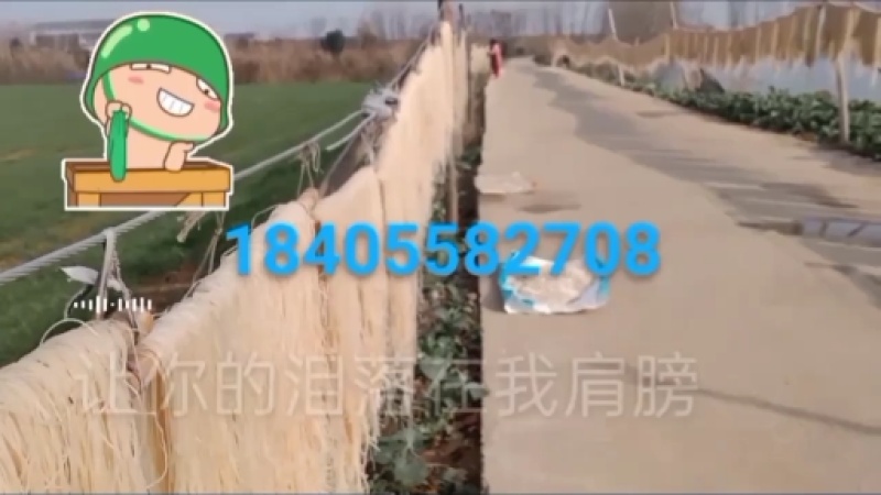 阜阳农家纯红薯粉丝，零添加无污染，欢迎下单