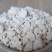 驭生源野生葛根粉桶装500g大量现货长期供应