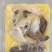 方砖佛跳墙，资质齐全，自家工厂，口味鲜美