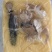 方砖佛跳墙，资质齐全，自家工厂，口味鲜美