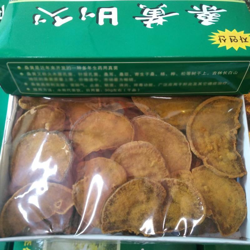 朝鲜桑黄产量稀少自然真贵大量现货供应欢迎选购