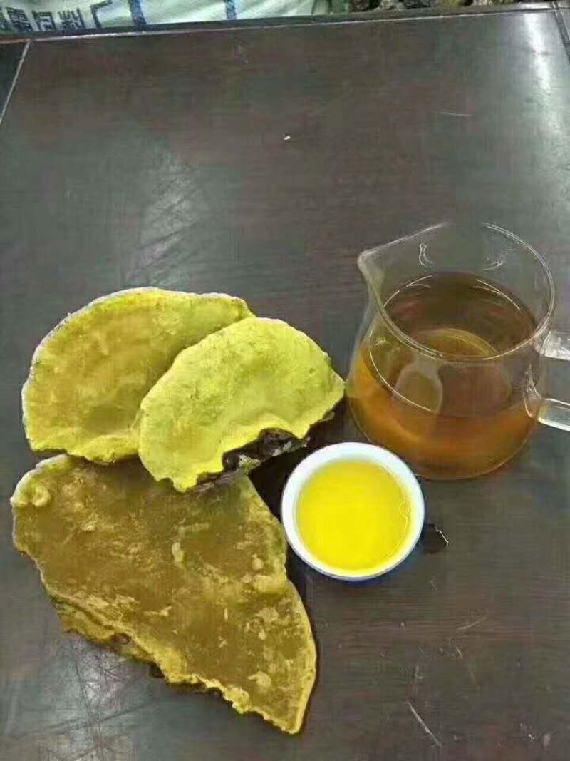 朝鲜桑黄产量稀少自然真贵大量现货供应欢迎选购
