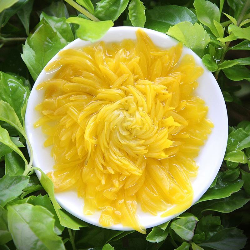 江西修水三星无熏硫金丝皇菊一朵一杯菊韵庐山