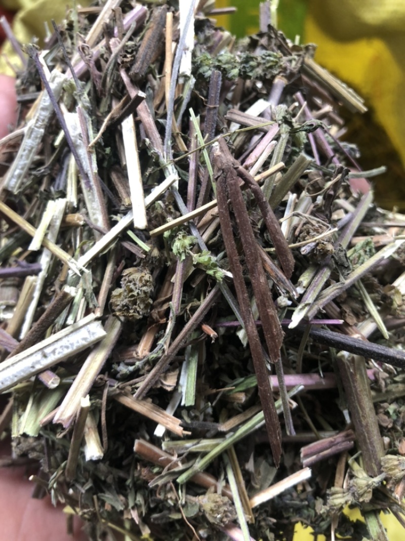 中药材荆芥