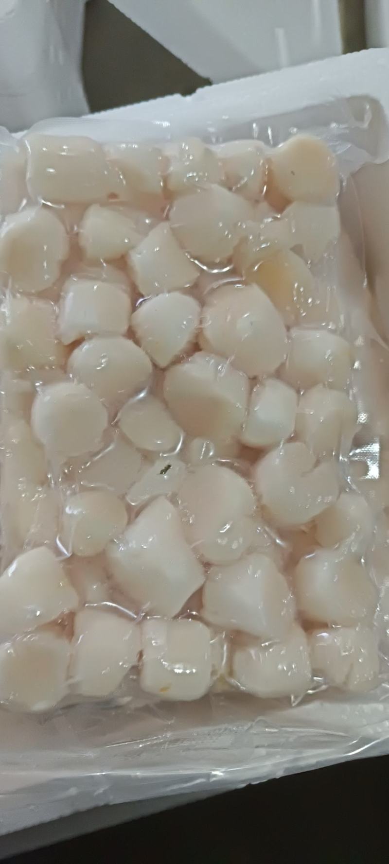 贝柱一斤装