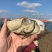 好品山东.礼飨中国佳节送蚝礼乳山牡蛎更满意10斤/件