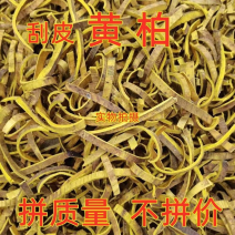 中药材川黄柏刮皮黄柏规格齐全现货供应一公斤起批