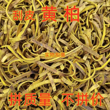 中药材川黄柏刮皮黄柏规格齐全现货供应一公斤起批