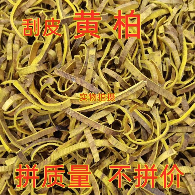 中药材川黄柏刮皮黄柏规格齐全现货供应一公斤起批