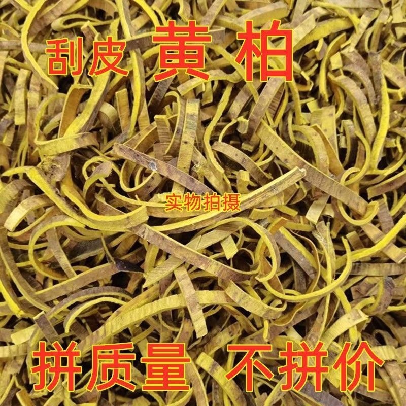 中药材川黄柏刮皮黄柏规格齐全现货供应一公斤起批